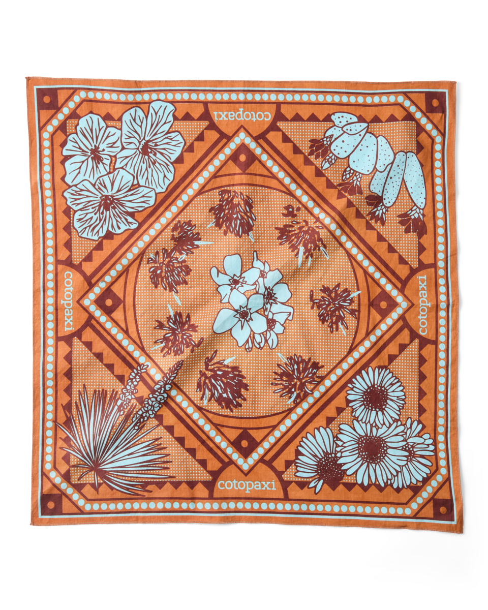 Organic Cotton Bandana - Desert llama - US 3455