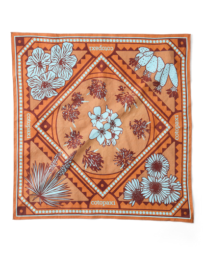 Organic Cotton Bandana - Desert llama - US 2277
