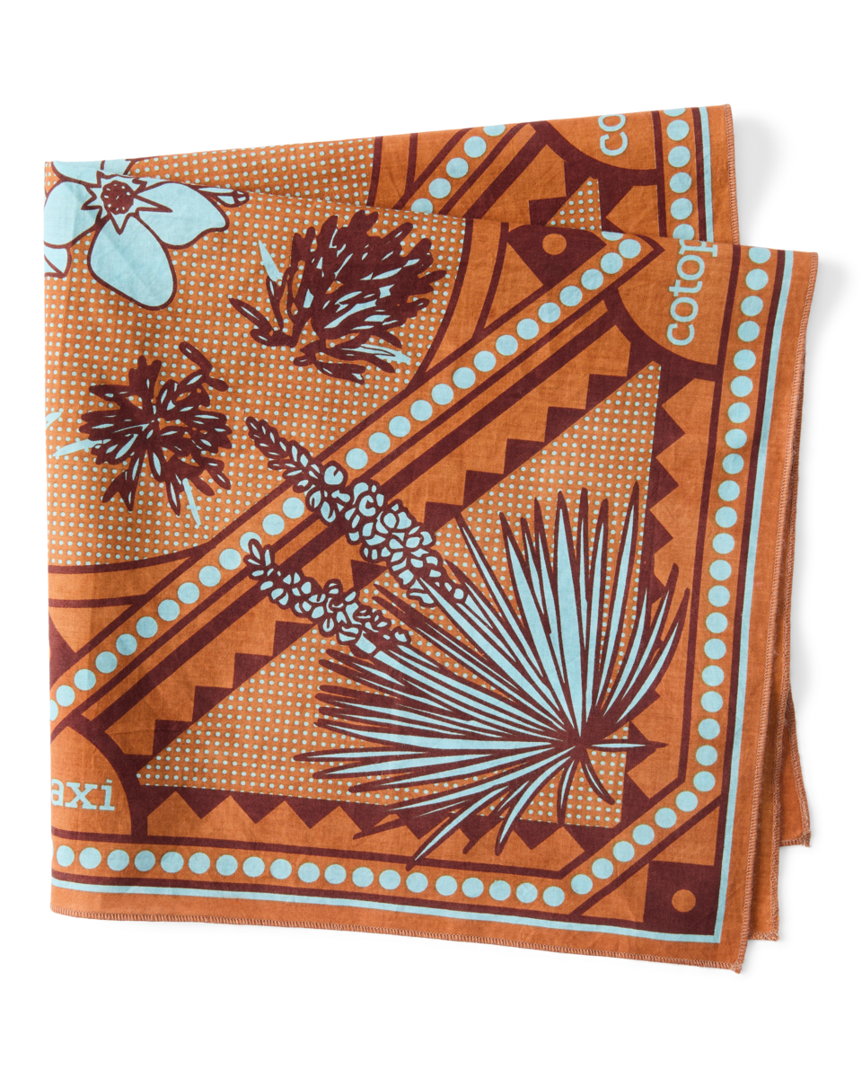 Organic Cotton Bandana - Desert llama - US 2277