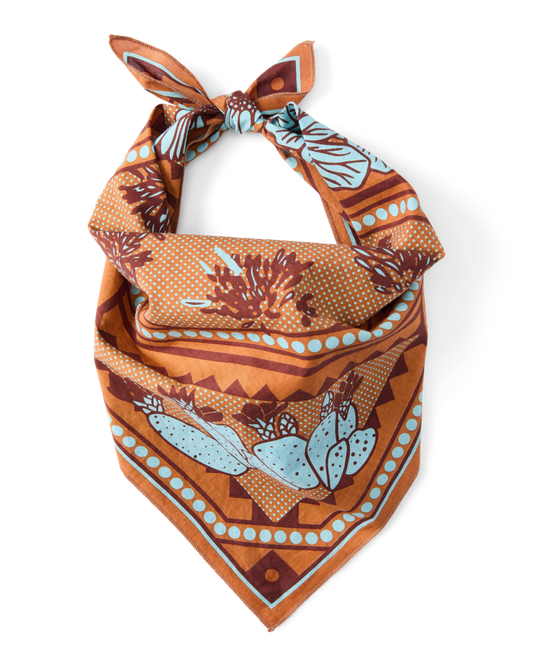 Organic Cotton Bandana - Desert llama - US 2277