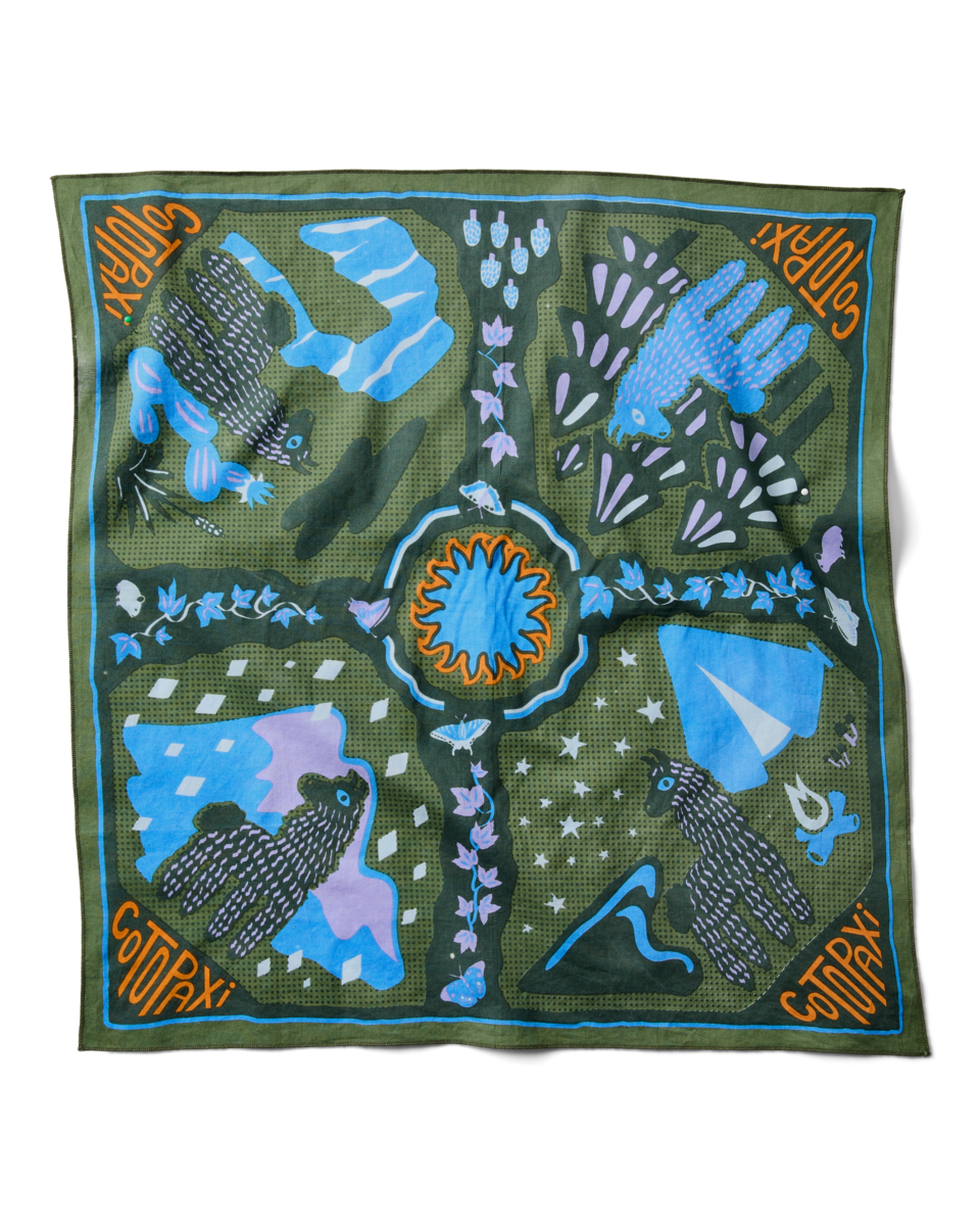 Organic Cotton Bandana - Llama Camp Bandana - US 1175