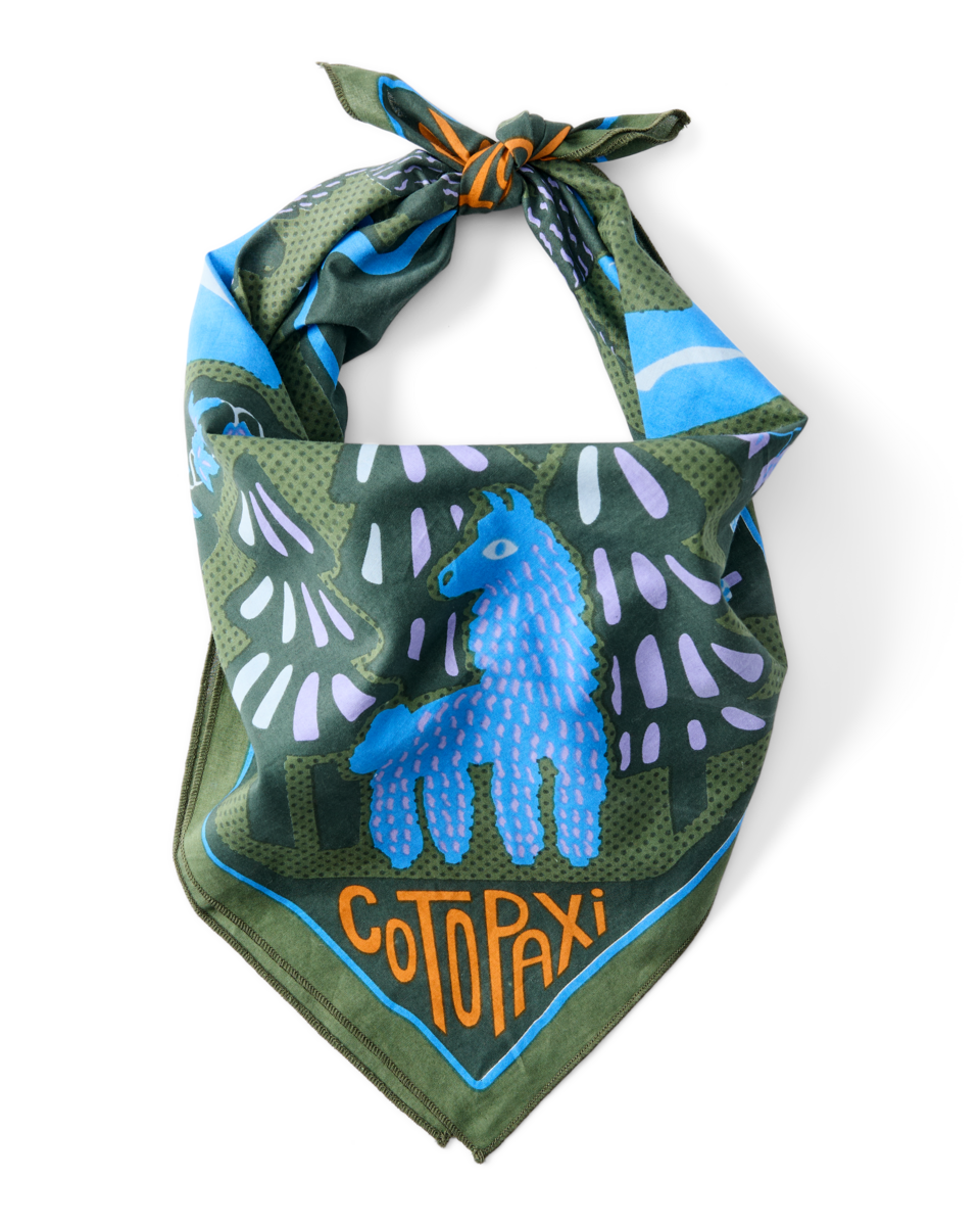 Organic Cotton Bandana - Llama Camp Bandana - US 1175